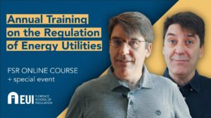 Annual Training on the Regulation of Energy Utilities | FSR online course