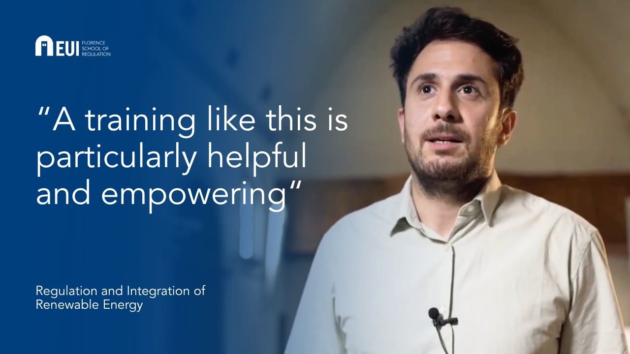 Regulation and Integration of Renewable Energy | Pouyan Maleki-Dizaji
