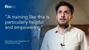 Regulation and Integration of Renewable Energy | Pouyan Maleki-Dizaji
