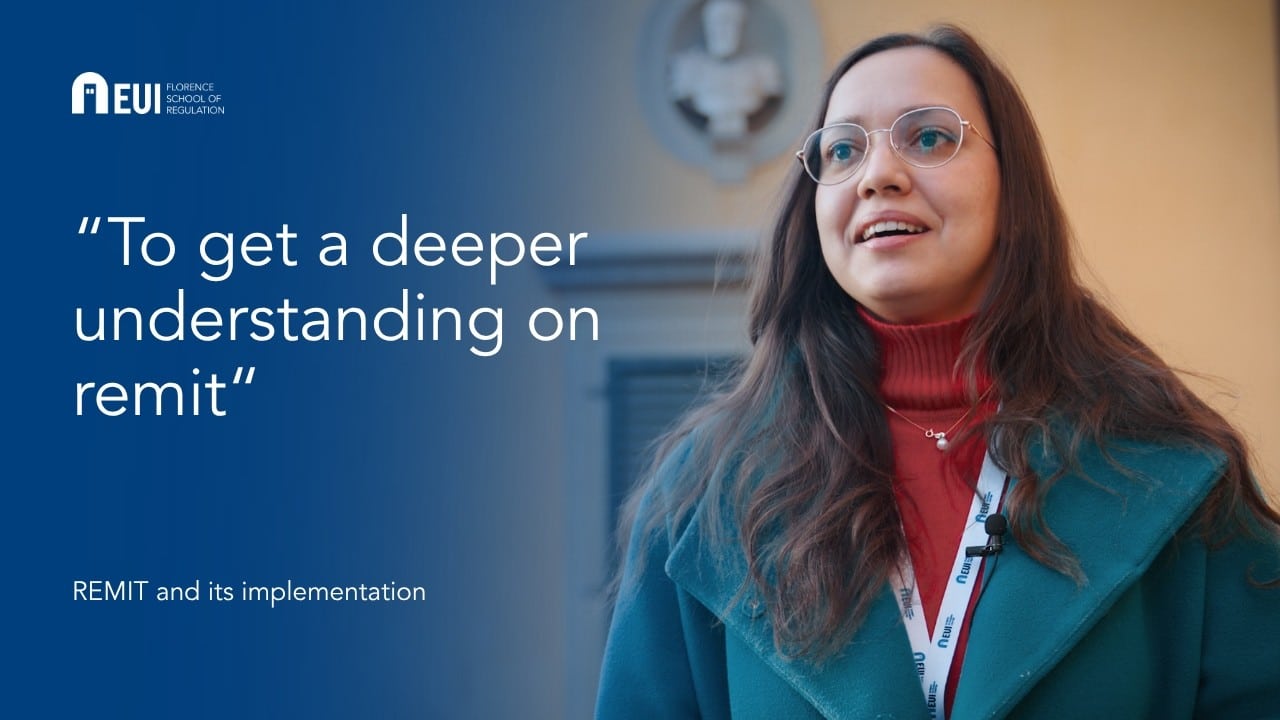REMIT and its implementation | Diana Volkova