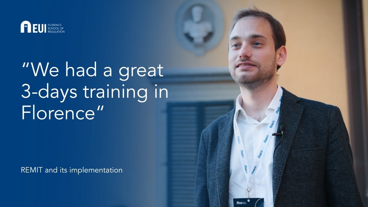 REMIT and its implementation | Michele Stretti