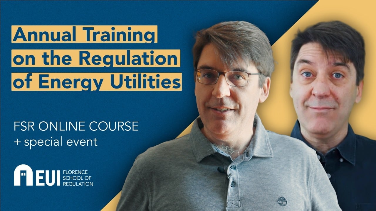 Annual Training on the Regulation of Energy Utilities | FSR online course