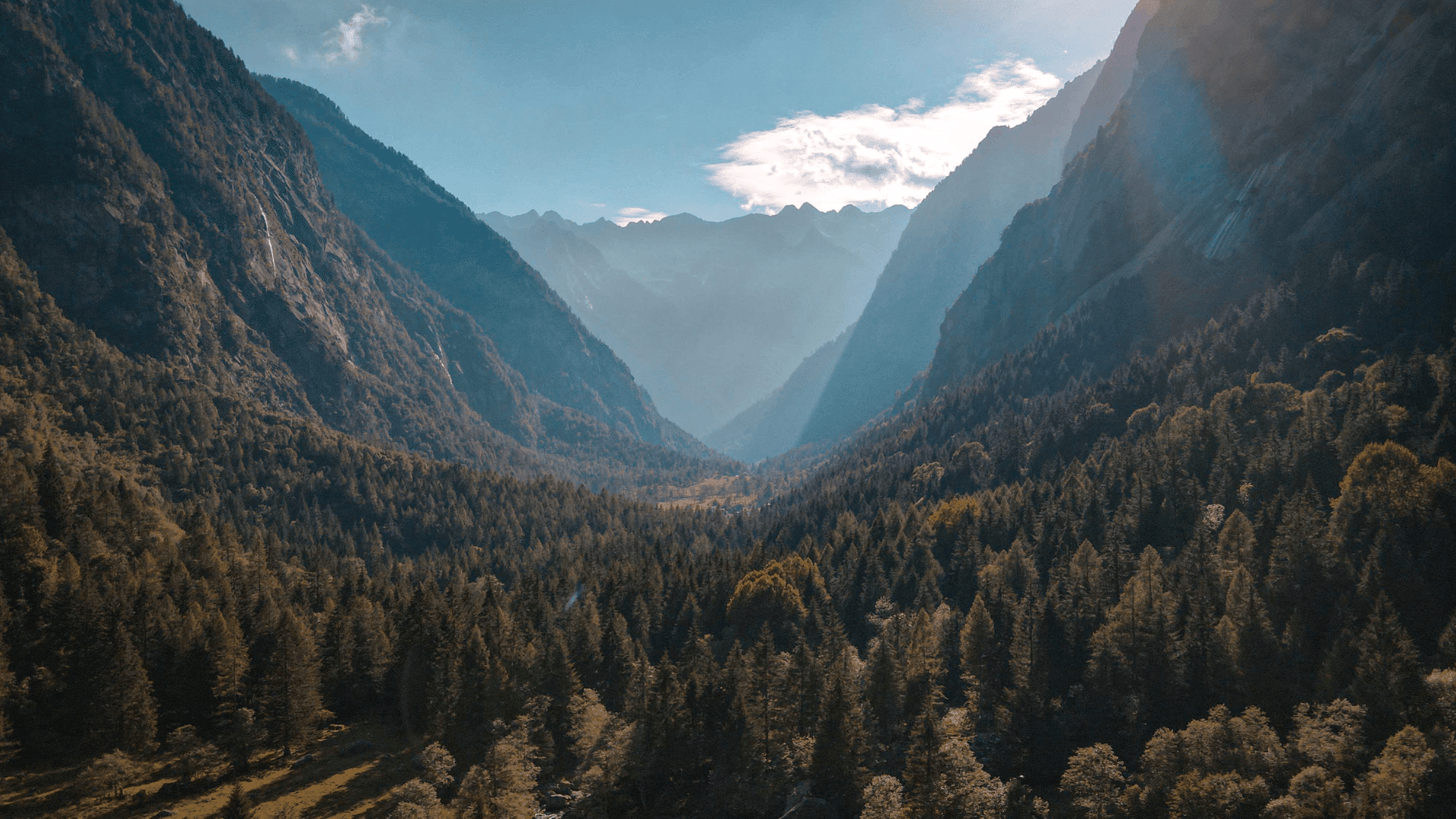 Climate action and social fairness