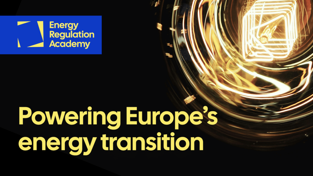 Energy Regulation Academy
