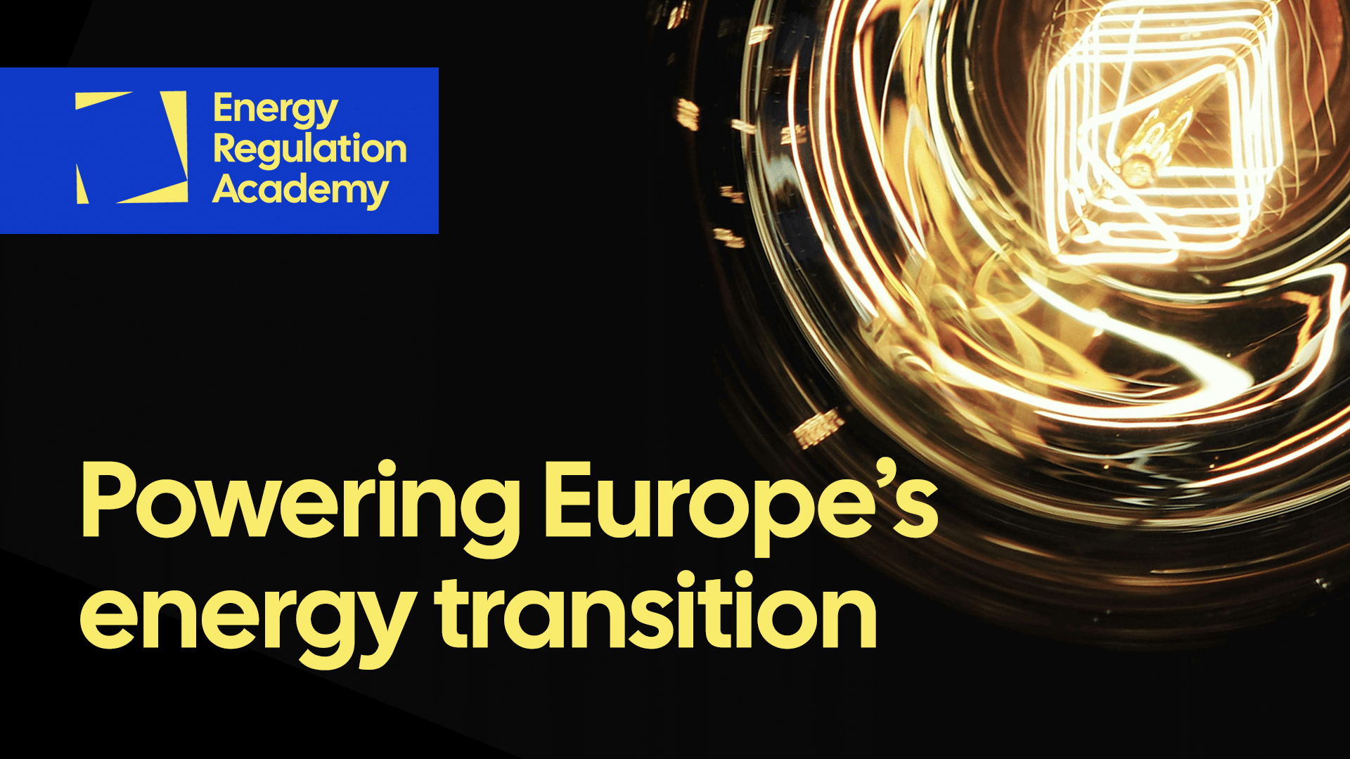 Energy Regulation Academy