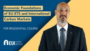 Economic Foundations of EU ETS and International Carbon Markets | FSR course
