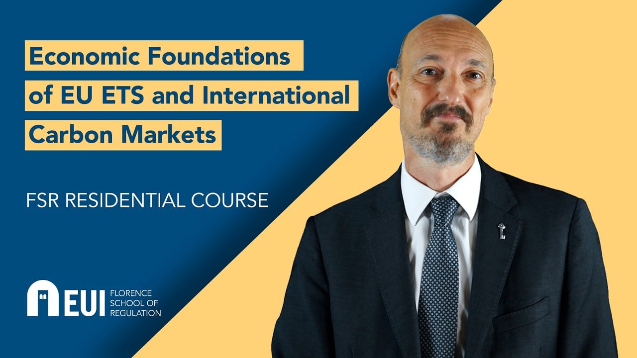 Economic Foundations of EU ETS and International Carbon Markets | FSR course