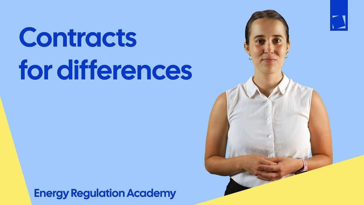Contracts for differences - Aliénor Cameron - EnRA Lectures