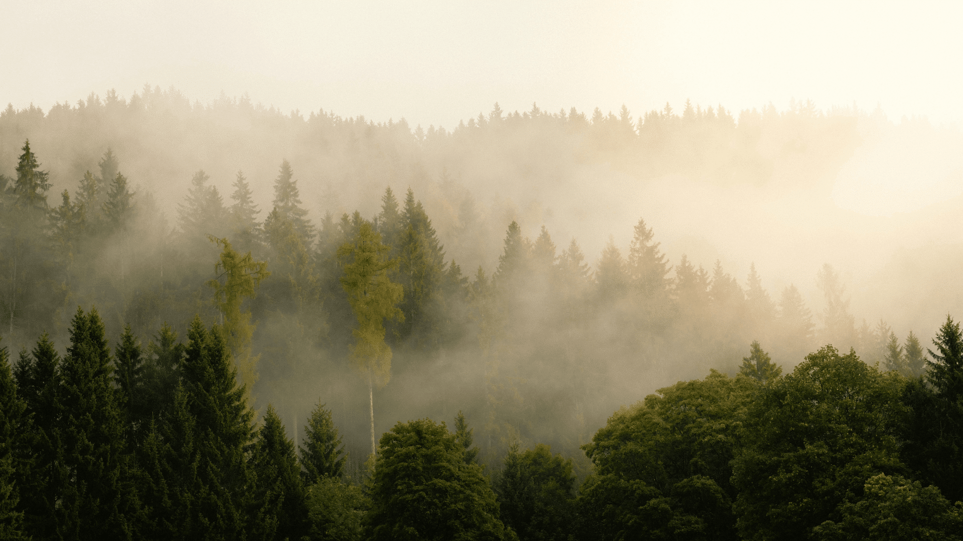 12th Annual Conference on the Economic Assessment of European Climate Policies