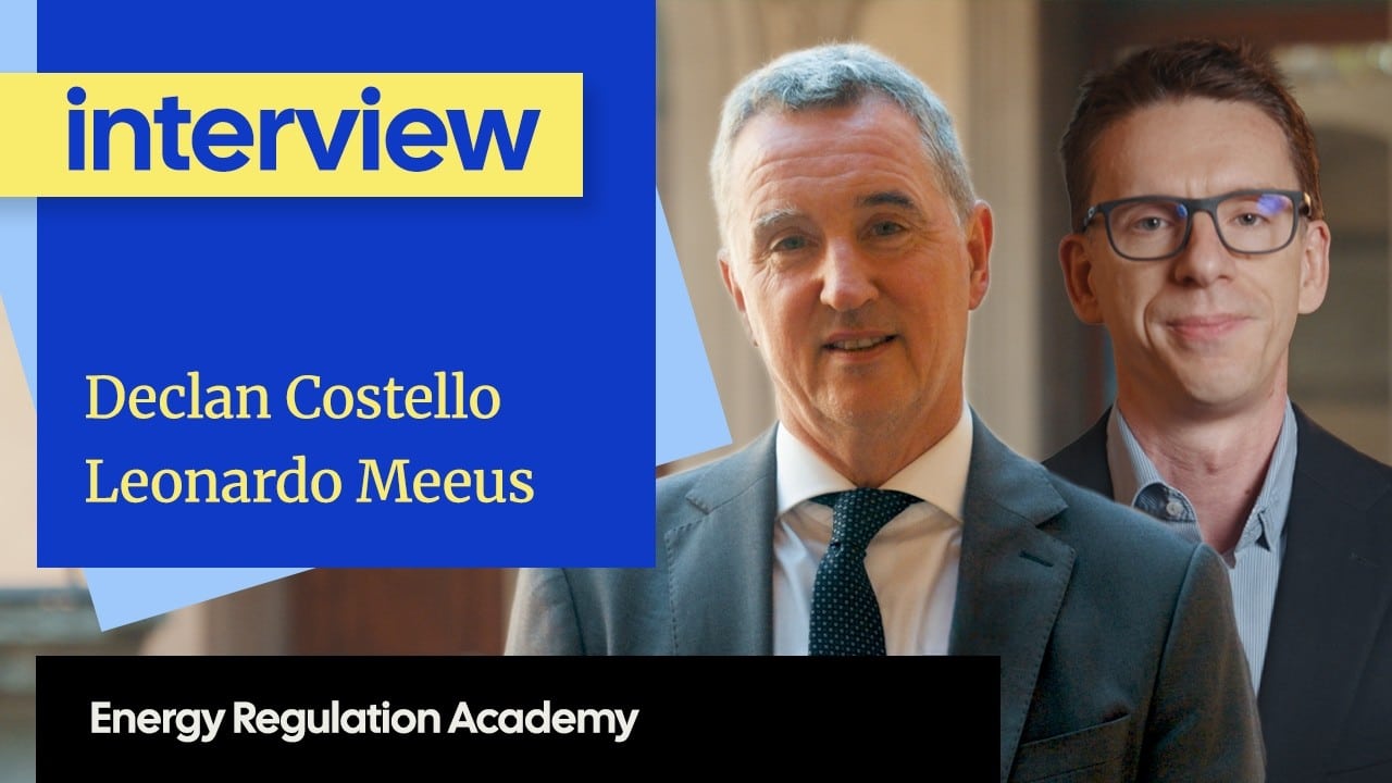 Declan Costello and Leonardo Meeus | Energy Regulation Academy
