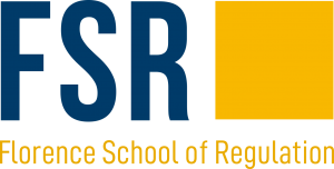 fsr logo