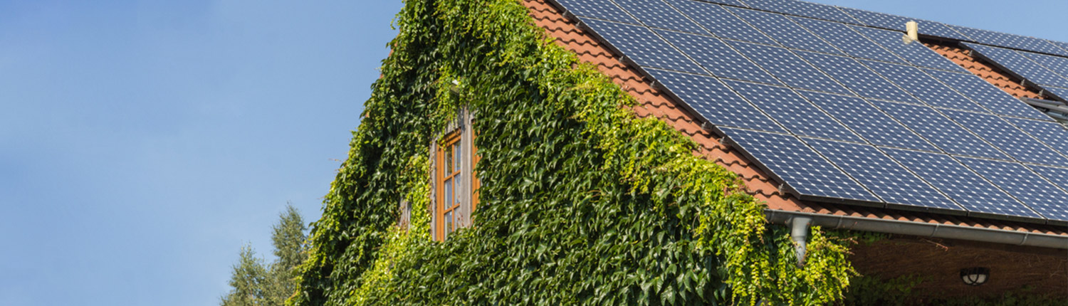 Local Governance for Transnational Energy Transition