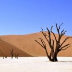 Africa