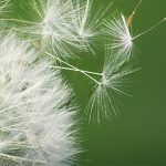EU Clean Energy Package