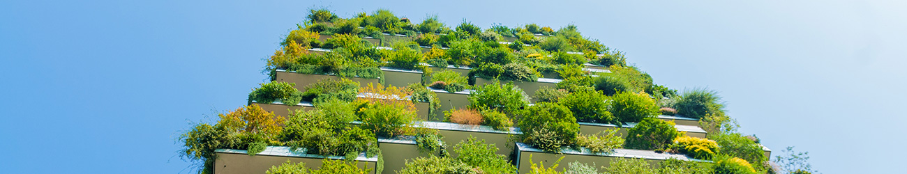 sustainability